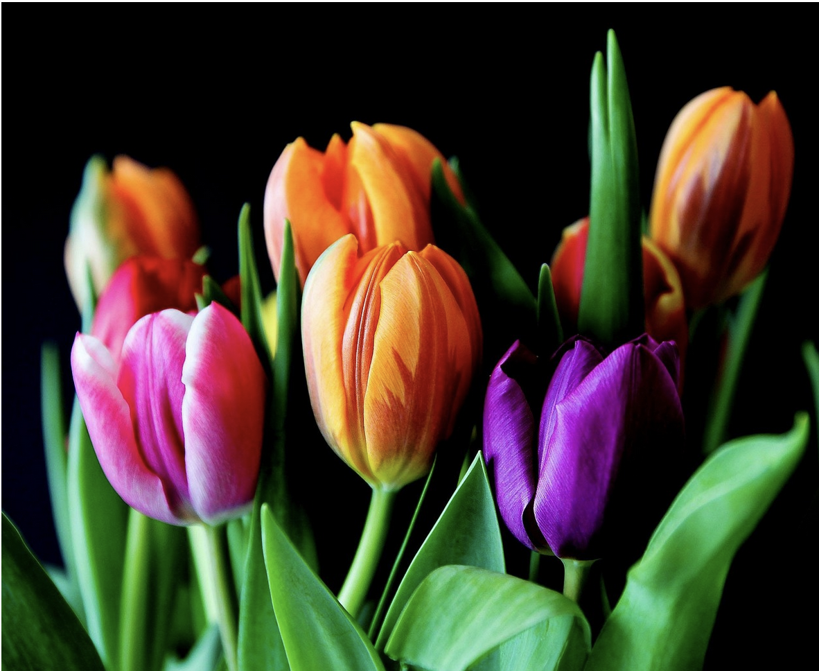 Пучок легкости – что такое банчи цветов и почему это главный тренд