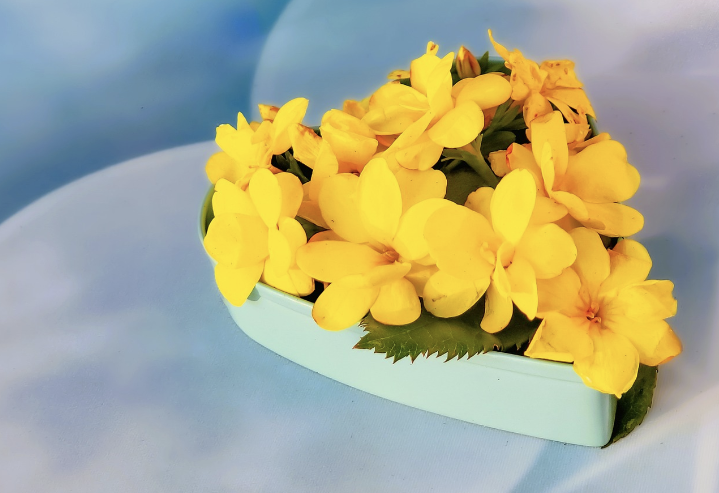 Подарок, который не ищет вазу – что такое букеты в коробке и почему они в тренде