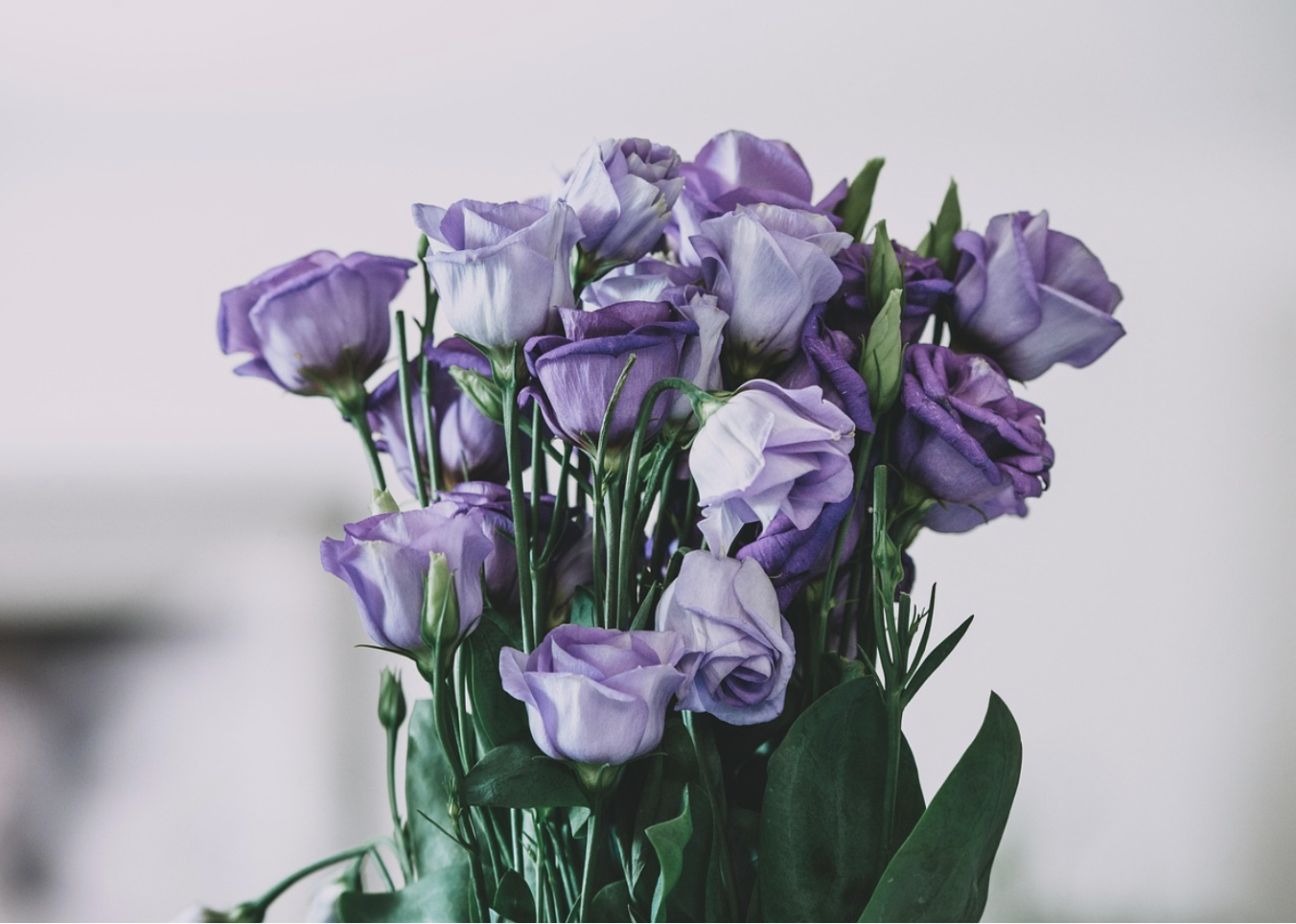 Один цветок — тысяча смыслов: что такое монобукет и почему он покорил мир