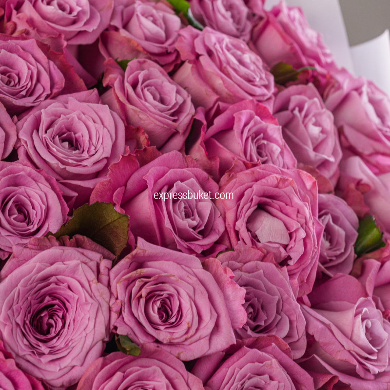 Букет из 51 розы Маритим